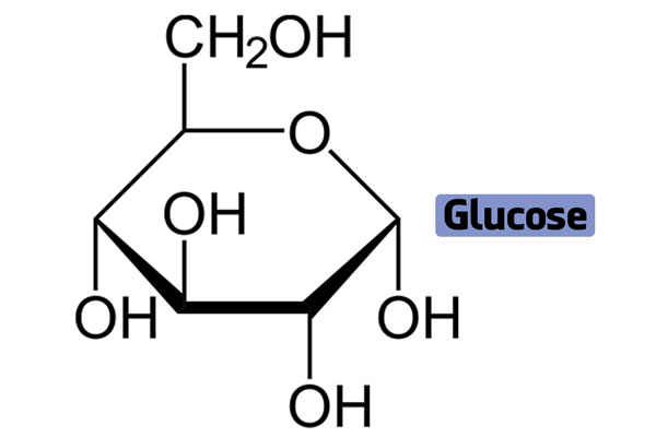 Glucose là gì