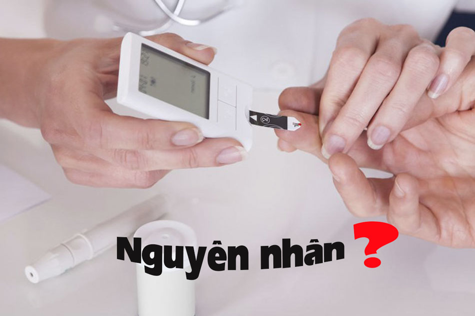 Nguyên nhân của bệnh Đái tháo đường